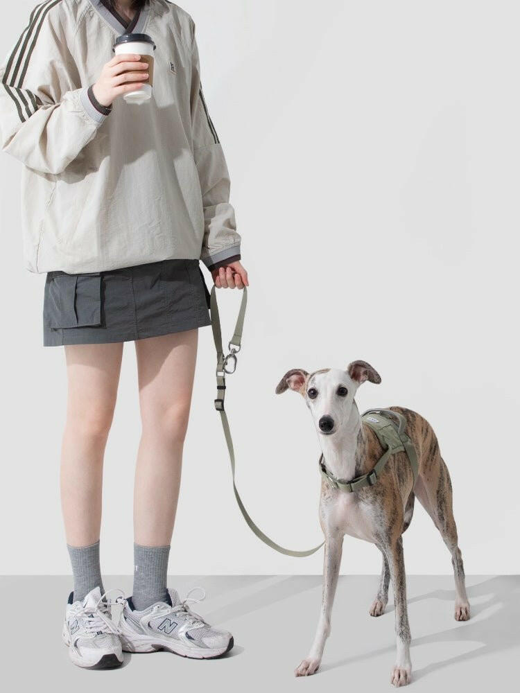 Valley Series Shock - Absorbing Dog Leash – Multi - Function & Flexible Control - Paw Charge